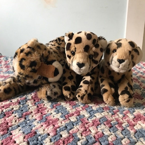 Cheetah plushies - Picture 2 of 5